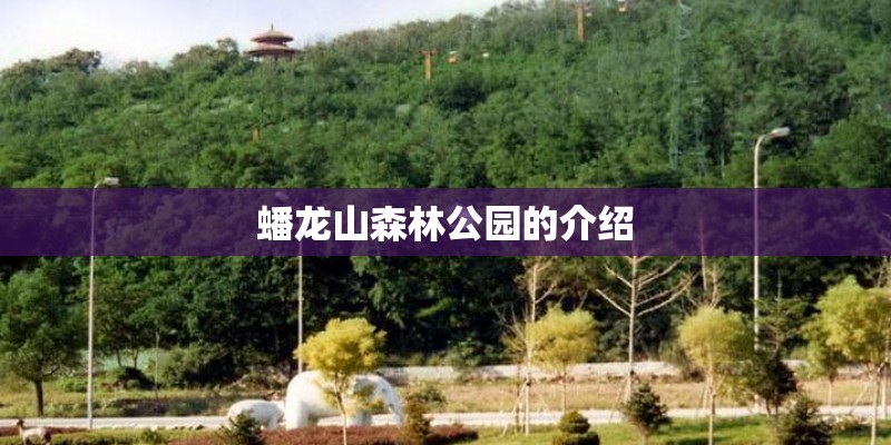 蟠龙山森林公园的介绍