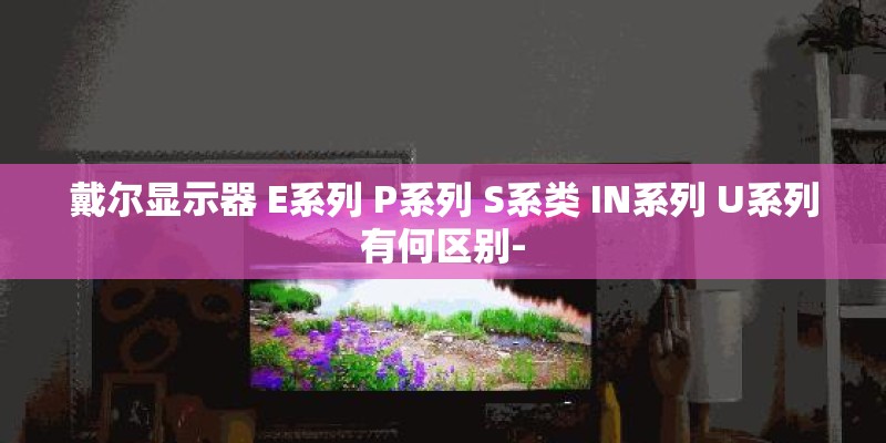 戴尔显示器 E系列 P系列 S系类 IN系列 U系列有何区别-
