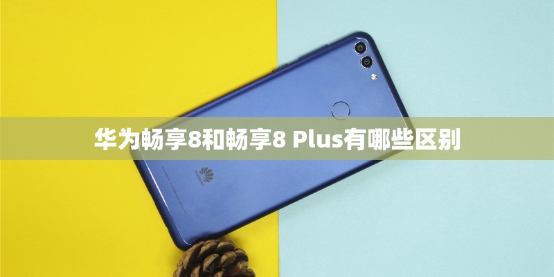 华为畅享8和畅享8 Plus有哪些区别