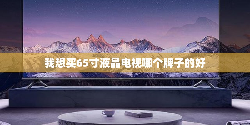我想买65寸液晶电视哪个牌子的好