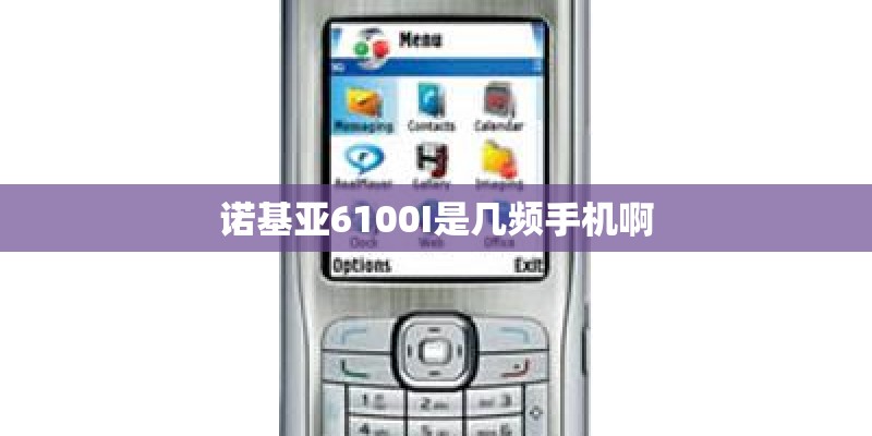 诺基亚6100I是几频手机啊