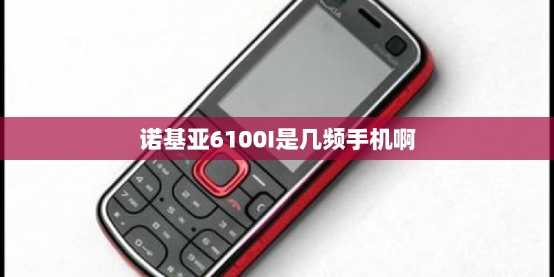 诺基亚6100I是几频手机啊