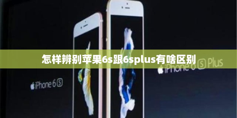怎样辨别苹果6s跟6splus有啥区别