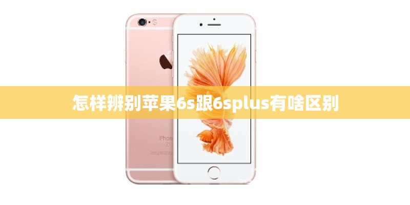 怎样辨别苹果6s跟6splus有啥区别