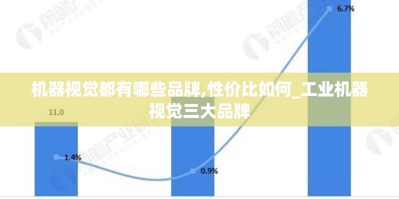 机器视觉都有哪些品牌,性价比如何_工业机器视觉三大品牌