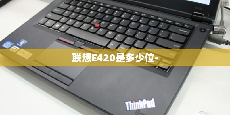 联想E420是多少位-