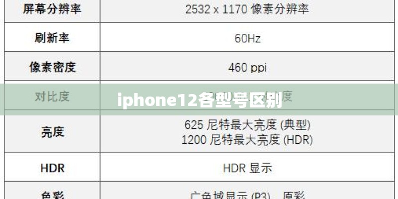 iphone12各型号区别