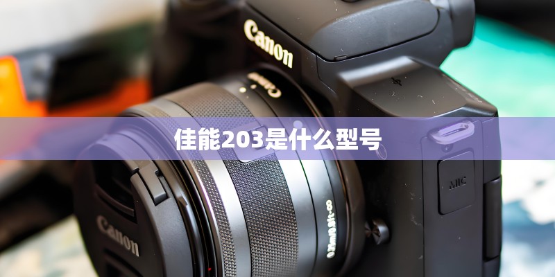 佳能203是什么型号