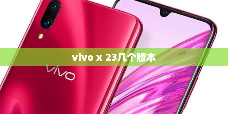 vivo x 23几个版本