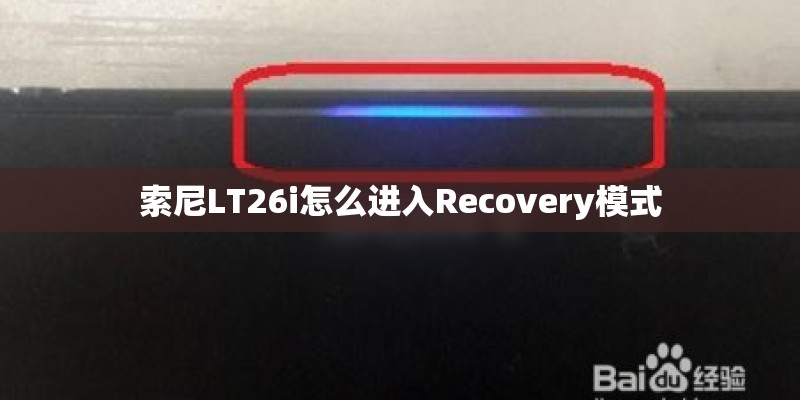阳台种植红薯苗技术