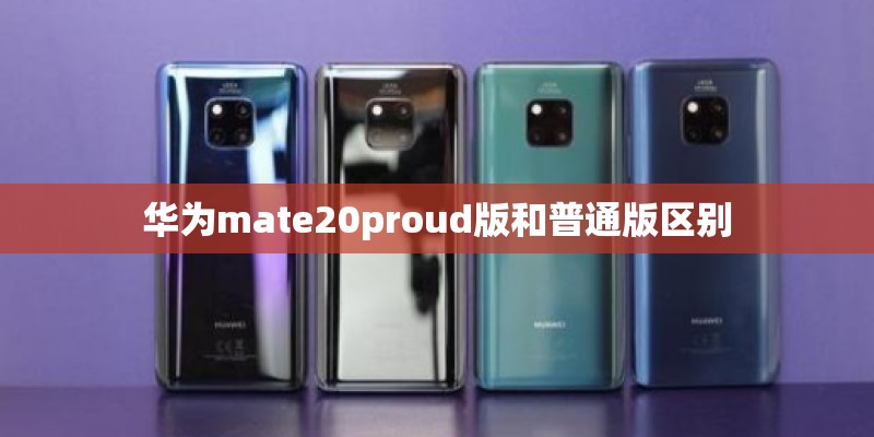 华为mate20proud版和普通版区别