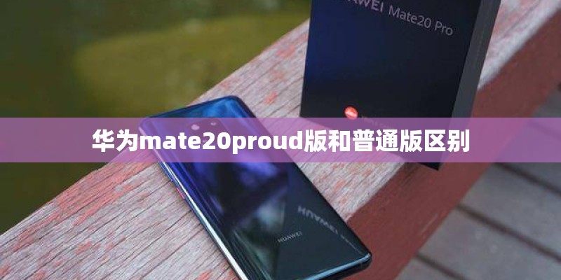 华为mate20proud版和普通版区别