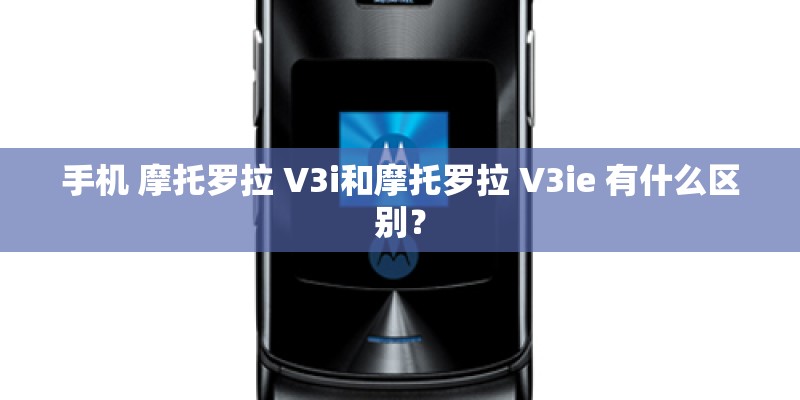 广东新增本土确诊48例(广东新增本土确 诊5例)