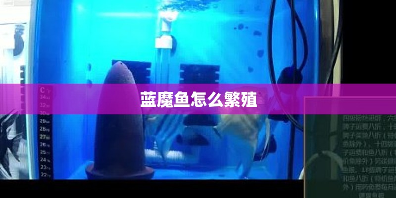 晒台花池做完防水直接回填土吗