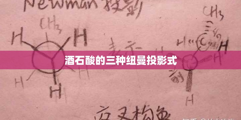 酒石酸的三种纽曼投影式