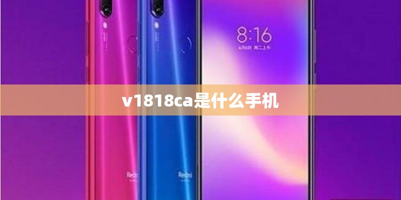 人教版七年级上册英语单词表带音标
