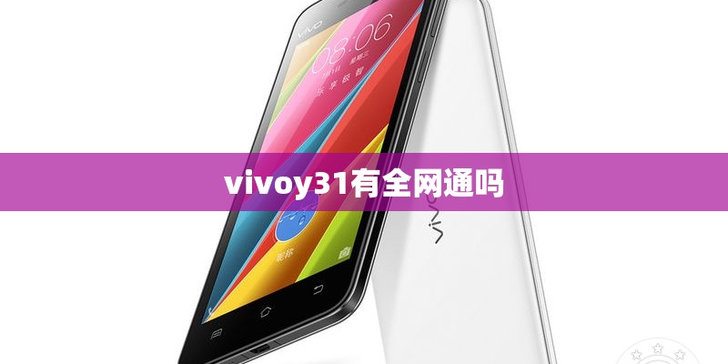 vivoy31有全网通吗