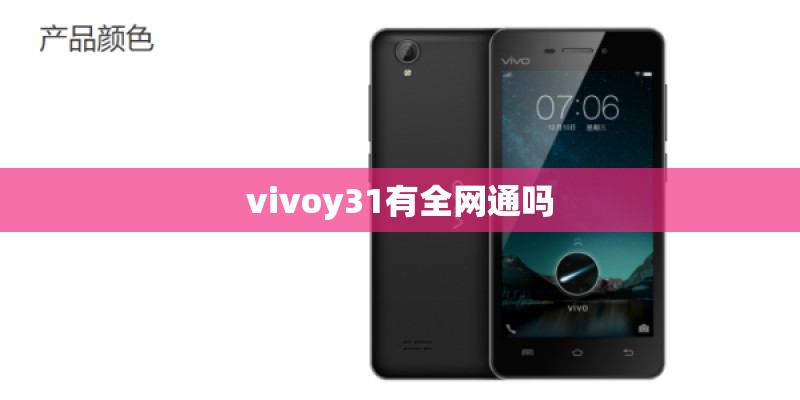 vivoy31有全网通吗