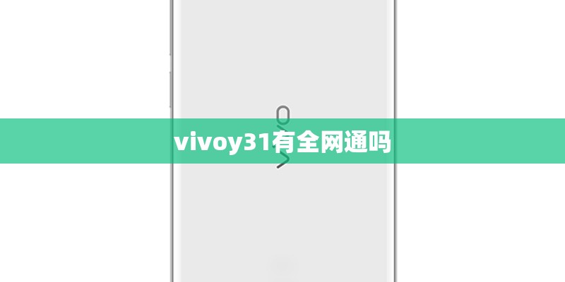 vivoy31有全网通吗