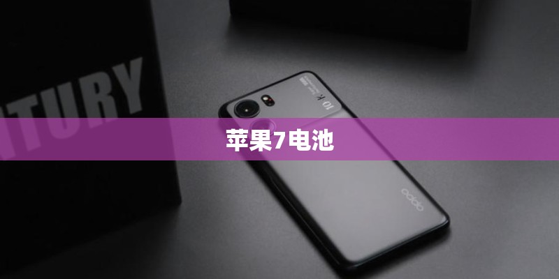 苹果7电池
