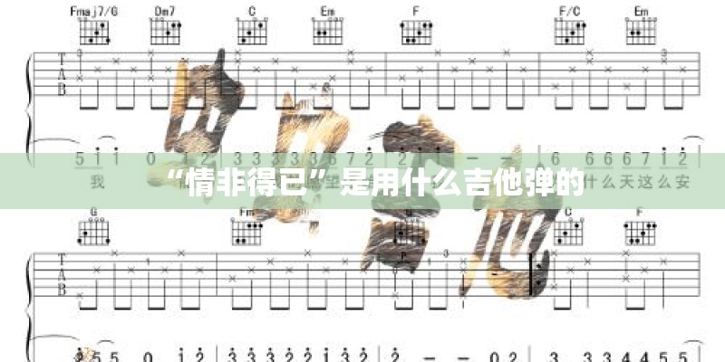 “情非得已”是用什么吉他弹的